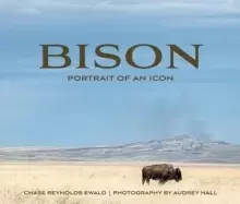 Image of Bison : Portrait of an Icon