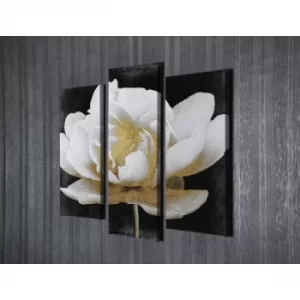 Image of UC76 Multicolor Decorative Canvas Painting (3 Pieces)
