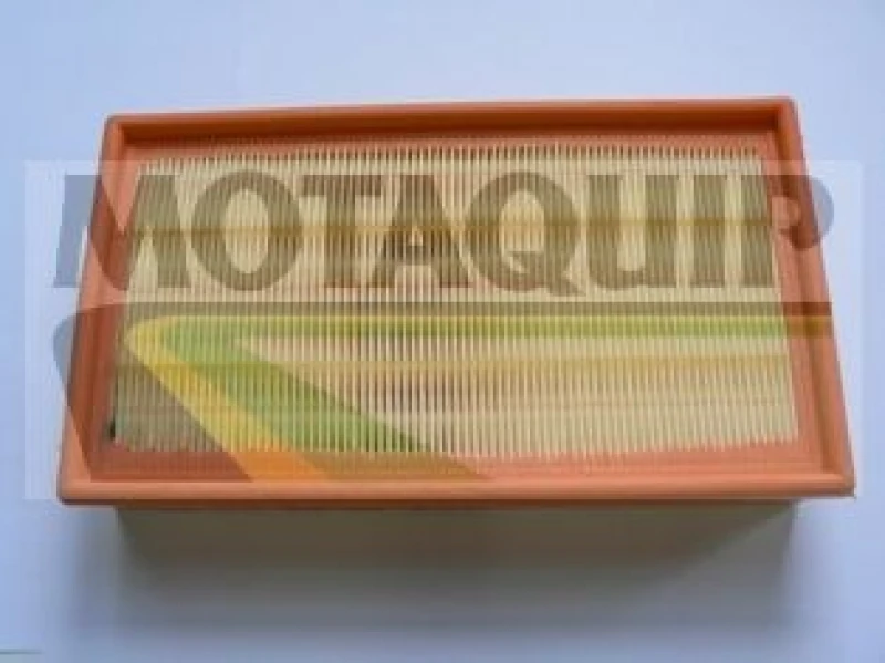 Image of MOTAQUIP Air filter MOTAQUIP VFA1157