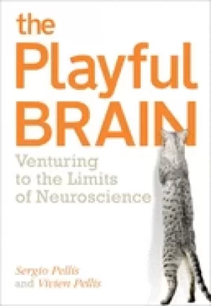 Image of playful brain venturing to the limits of neuroscience