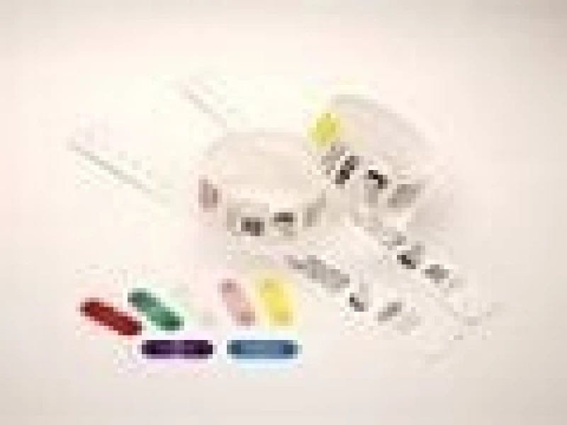 Image of Zebra Zebra Clips for use with QuickClip Wristbands Red 97032-RED