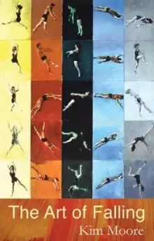 Image of The Art of Falling