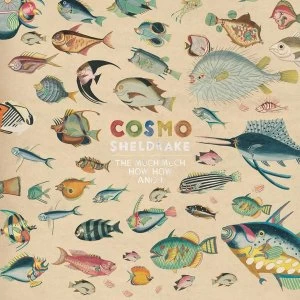 Image of Cosmo Sheldrake - The Much Much How How And I Vinyl