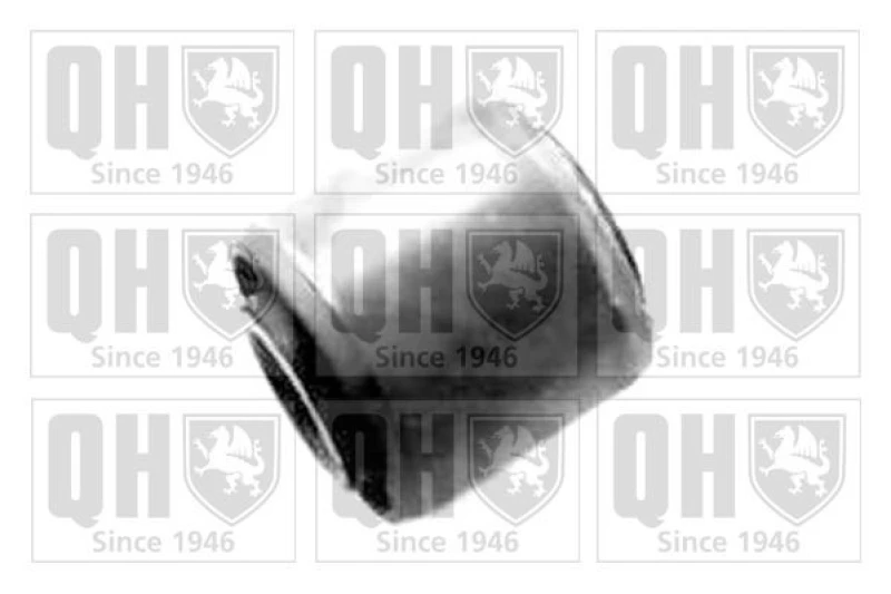 Image of QUINTON HAZELL Trailing arm / Suspension arm bush QUINTON HAZELL EMS2211