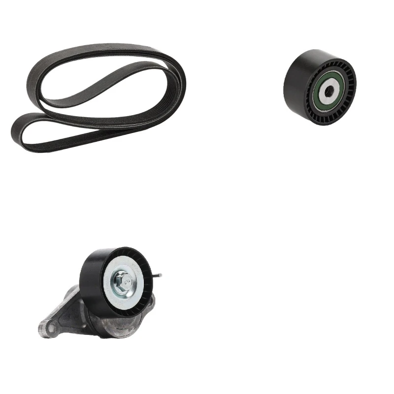 Image of goCORE GCE420025 V-ribbed belt set Check alternator freewheel clutch & replace if necessary V-Ribbed Belt Set (542)