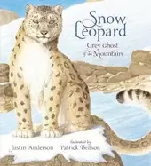 Image of snow leopard grey ghost of the mountain
