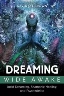 Image of Dreaming Wide Awake : Lucid Dreaming, Shamanic Healing, and Psychedelics