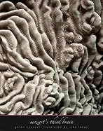 Image of mozarts third brain