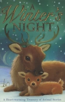 Image of A Winters Night by Alison Edgson Paperback