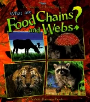Image of what are food chains and webs
