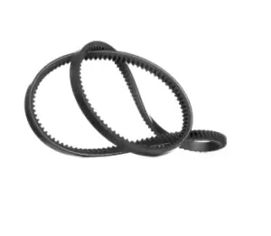 Image of RIDEX V Belt VW,FORD,TOYOTA 10C0074 B0017465,J3226936,1494726 Fenner Belt 4005448,4109133,4164663,6144787,6158131,6158132,72TF8620BA,85TF6C301GA,17D29