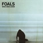Image of Foals - What Went Down (Music CD)