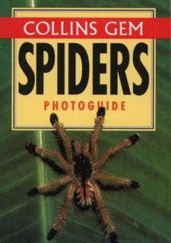 Image of Spiders Photoguide by Paul Hillyard Paperback