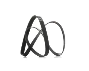 Image of RIDEX V-ribbed belt BMW,HONDA,LAND ROVER 305P0237 11281432724,11281742475,11287519955 11287636369,11287636377,11287833264,11287843246,31110RL0G01