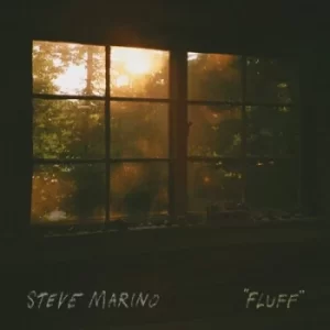 Image of Fluff by Steve Marino CD Album