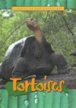 Image of Tortoises by Chuck Miller Hardback