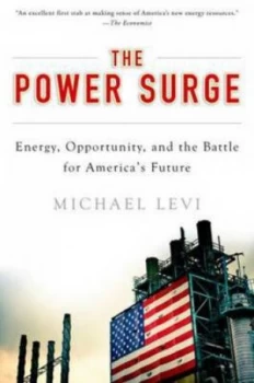 Image of The Power Surge by Michael Levi Book