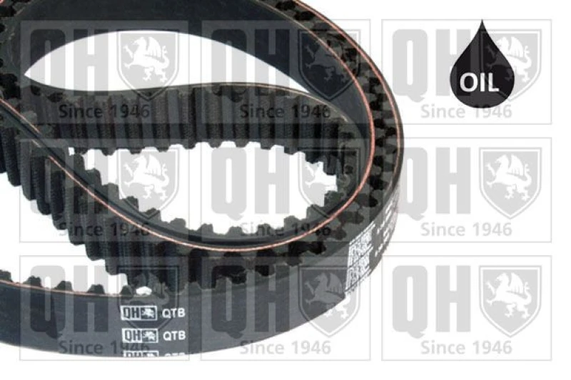 Image of QUINTON HAZELL Timing Belt QUINTON HAZELL QTB810