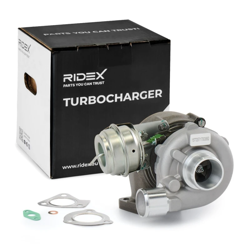 Image of RIDEX Turbocharger RIDEX 2234C10689