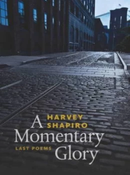 Image of A Momentary Glory by Harvey Shapiro Hardback