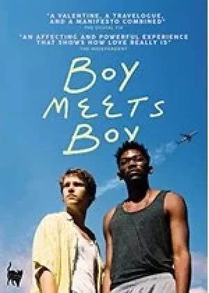 Image of Boy Meets Boy (DVD)