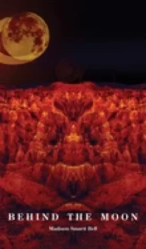 Image of behind the moon
