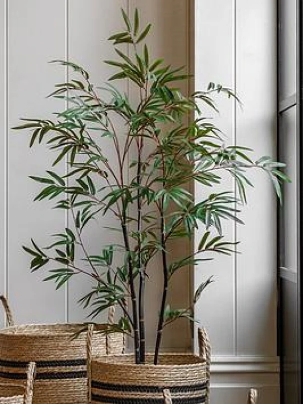 Image of Crossland Grove Potted Bamboo Tree 4ft, Green 5056693592884