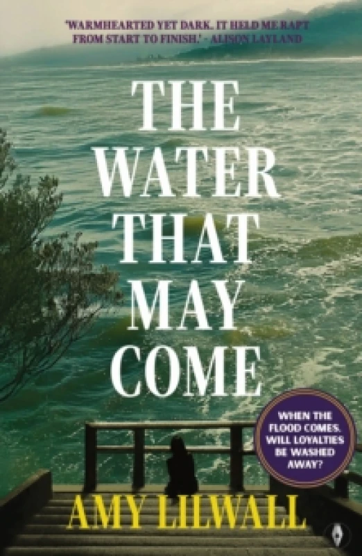 Image of The Water That May Come Paperback / softback