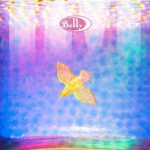 image of Dove by Belly CD Album