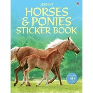 Image of Horses and Ponies by Phillip Clarke Paperback