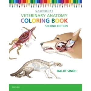 Image of Veterinary Anatomy Coloring Book by Saunders (Paperback, 2015)