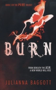 Image of Burn by Julianna Baggott Paperback
