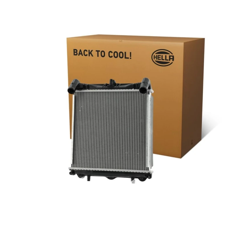 Image of HELLA Engine radiator HELLA 8MK 366 301-991