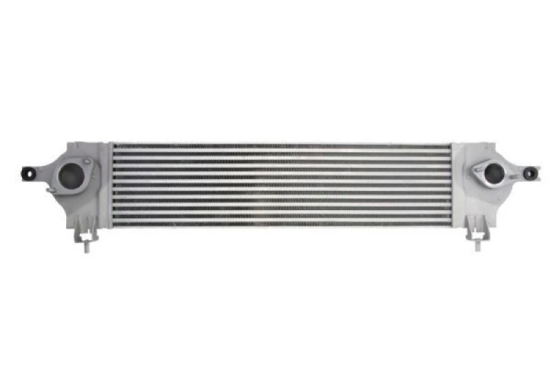 Image of THERMOTEC Intercooler THERMOTEC DA1002TT