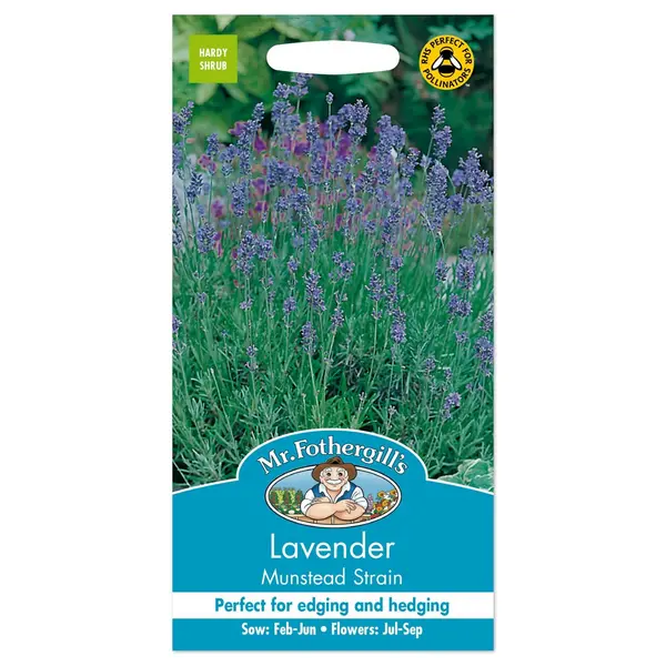 Image of Mr. Fothergill's Lavender Munstead Strain Seeds Purple