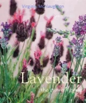 Image of lavender the growers guide