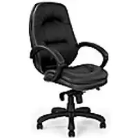 Image of Nautilus Designs Ltd. Luxurious Leather Faced Executive Armchair with Padded, Upholstered Armpads and Pronounced Lumbar Support Black