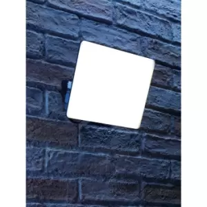 image of IP65 LED Floodlight Black 80W - Auraglow