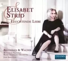 image of Elisabet Strid: Leuchtende Liebe