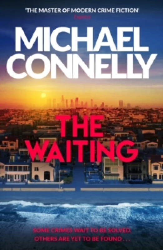 Image of The Waiting : Inspiration for the hit Amazon Prime series BALLARD Paperback / softback