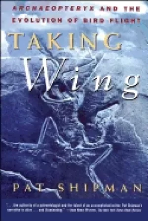 Image of taking wing archaeopteryx and the evolution of bird flight