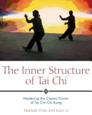 Image of inner structure of tai chi mastering the classic forms of tai chi chi kung