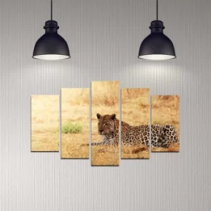Image of 5DMDF-38 Multicolor Decorative MDF Painting (5 Pieces)