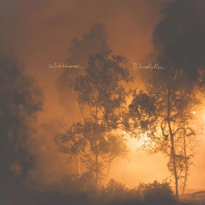 Image of Blindfaller Vinyl