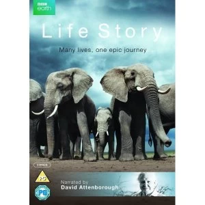 image of David Attenborough Life Story DVD