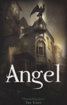 Image of Angel by Cliff Mcnish Book