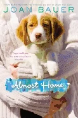 Image of almost home