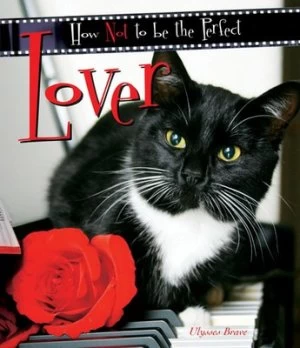 Image of How Not to Be the Perfect Lover by Ulysses Brave Hardback