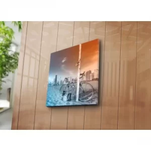 Image of 4545NAT-30 Multicolor Decorative Canvas Painting