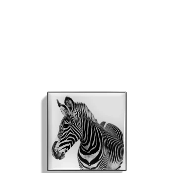 Image of Chantecaille Luminescent Eye Shade 2.5g (Various Shades) - Zebra